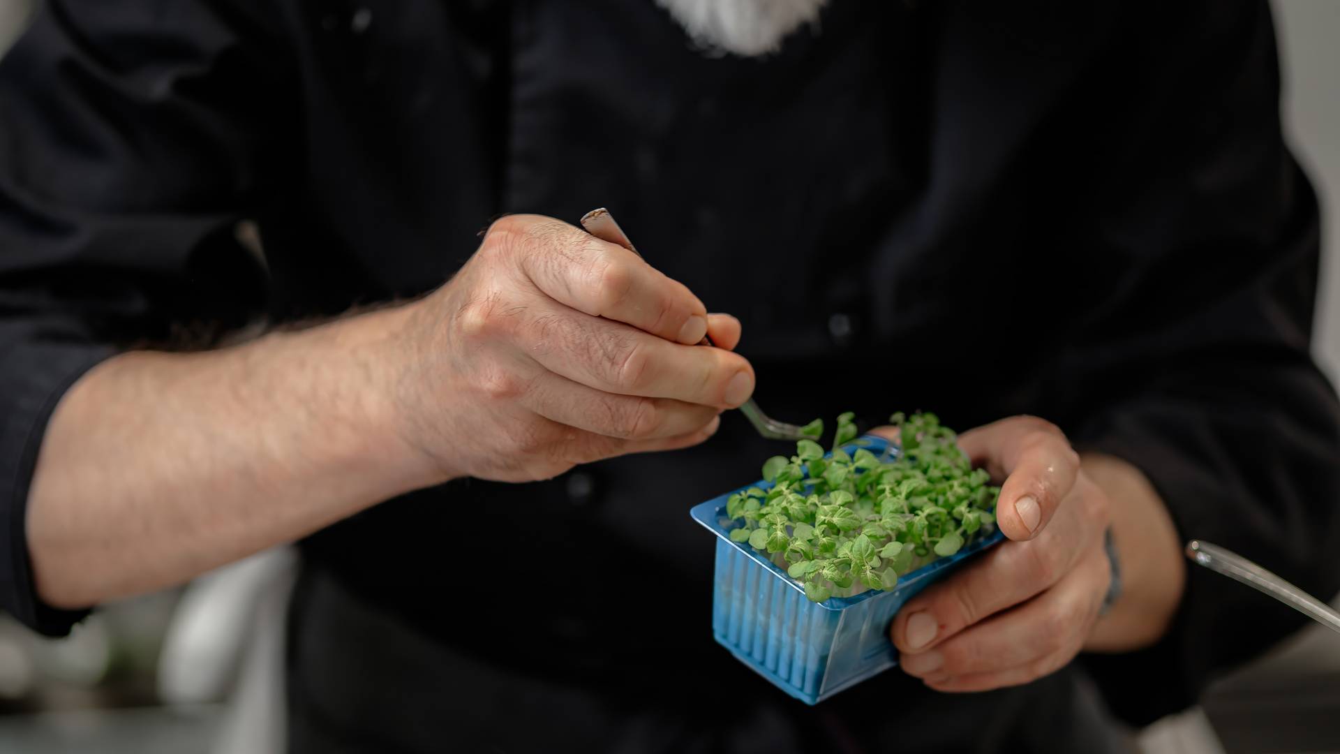 Family Hotel Posta **** Family Hotel Posta ****