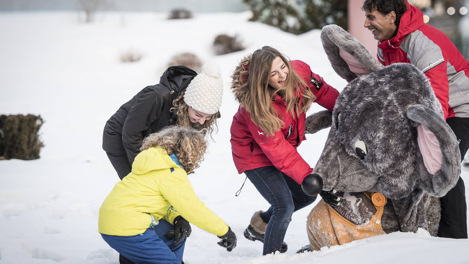 Cavallino Bianco Family Spa Grand Hotel ****ˢ Cavallino Bianco Family Spa Grand Hotel ****ˢ