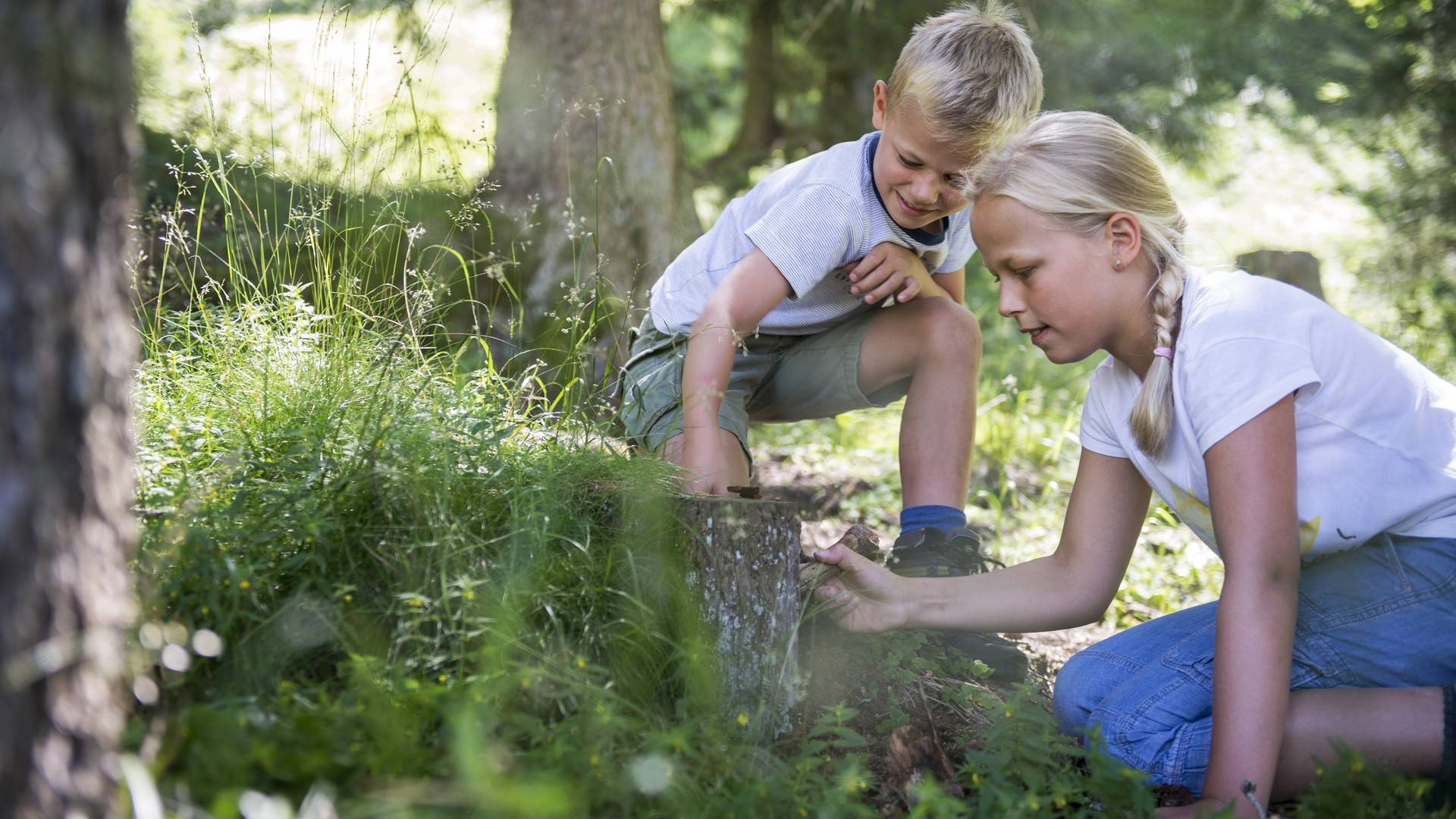 Familienalm & Almchalets Taser Alm**** Familienalm & Almchalets Taser Alm****