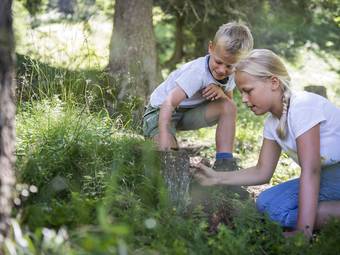 Familienalm & Almchalets Taser Alm**** Familienalm & Almchalets Taser Alm****