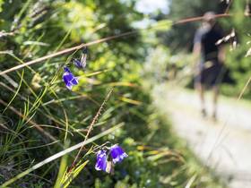 Der Ort für Little Nature Ranger in Vals Der Ort für Little Nature Ranger in Vals