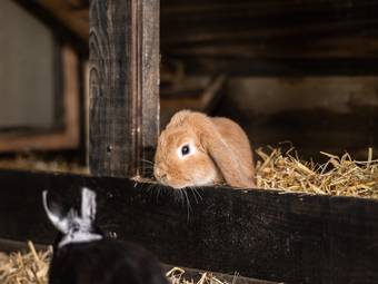 DAS GERSTL Family Retreat DAS GERSTL Family Retreat