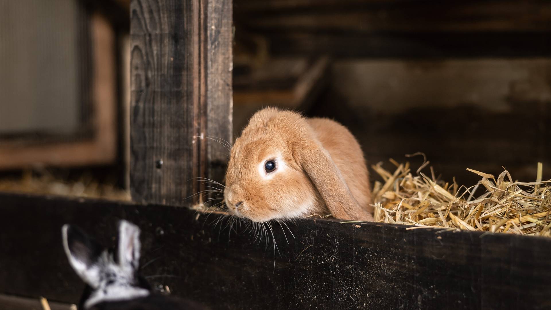 DAS GERSTL Family Retreat DAS GERSTL Family Retreat