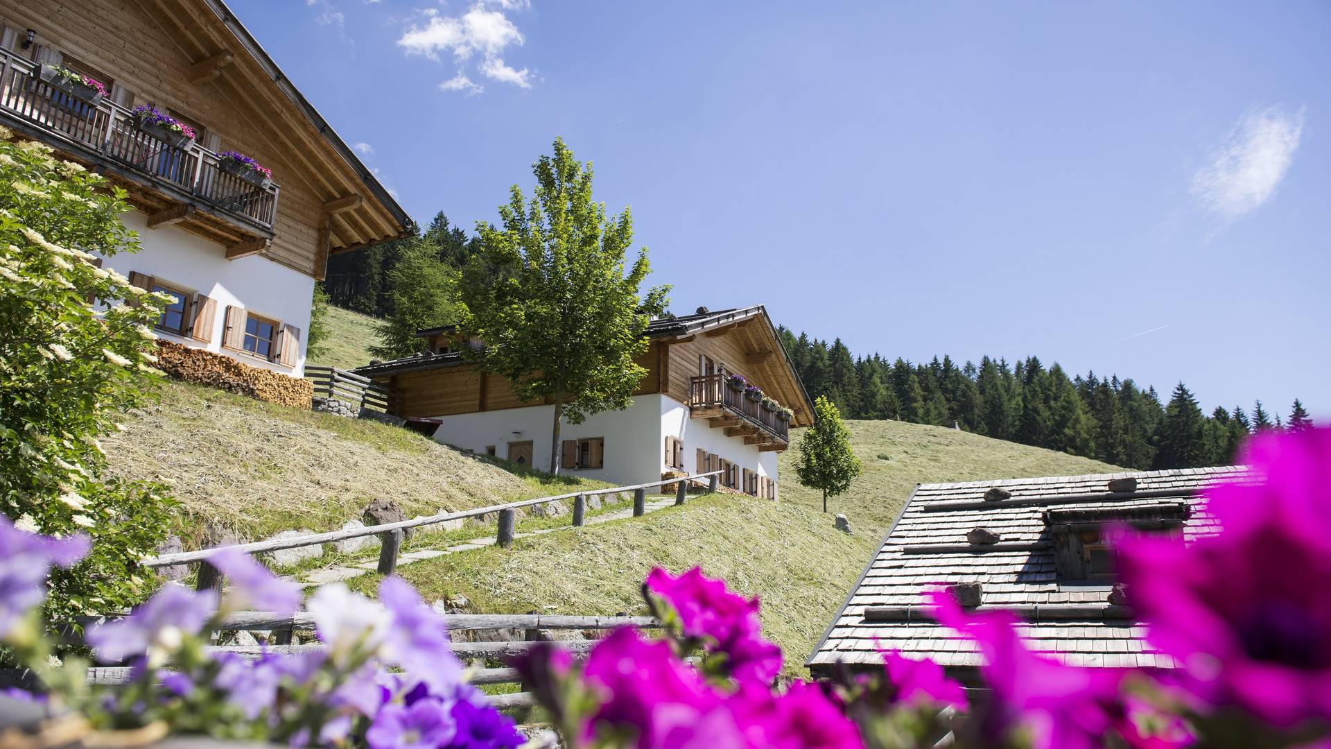 Familienalm & Almchalets Taser Alm**** Familienalm & Almchalets Taser Alm****