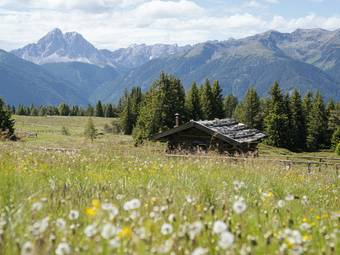 Familienhotel Huber ****ˢ Familienhotel Huber ****ˢ