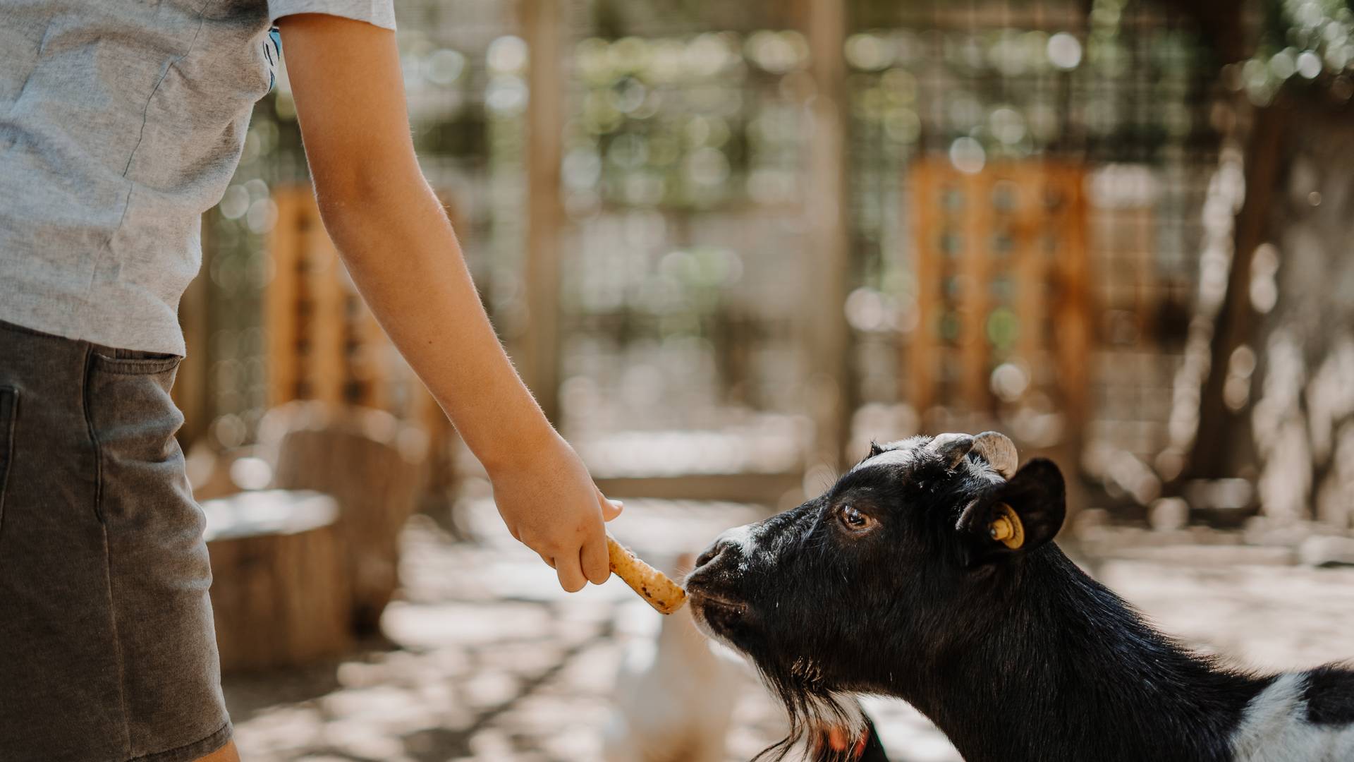 Familienresidence & Suiten Das Grafenstein ****ˢ Familienresidence & Suiten Das Grafenstein ****ˢ