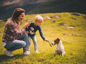 Aktiv & Familienhotel Adlernest **** Aktiv & Familienhotel Adlernest ****