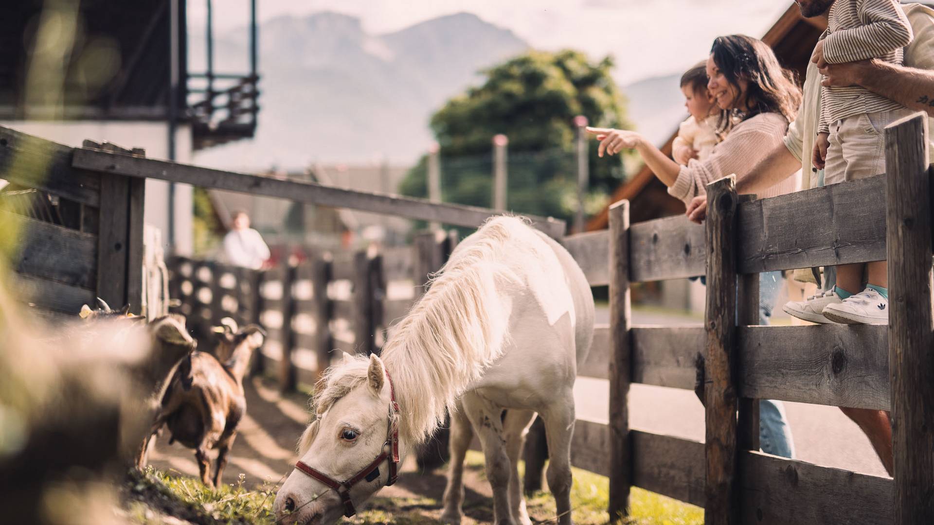 ****ˢ Garberhof Dolomit Family ****ˢ Garberhof Dolomit Family