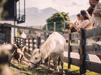 ****ˢ Garberhof Dolomit Family ****ˢ Garberhof Dolomit Family