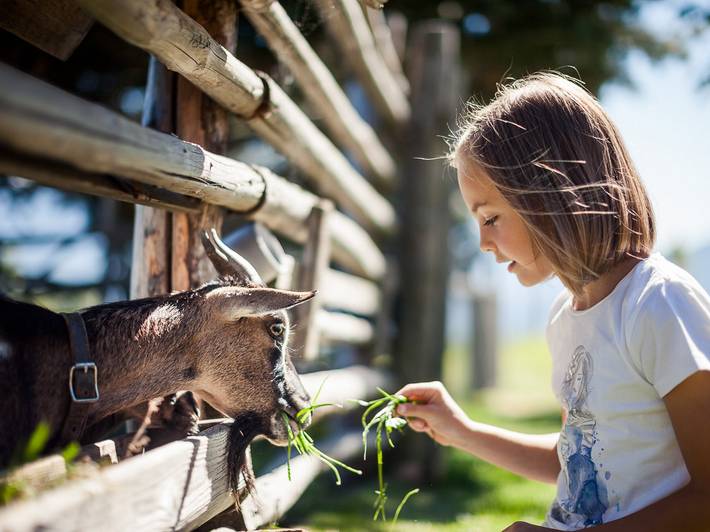Familienhotel mit Bauernhof: ein Traum wird wahr Familienhotel mit Bauernhof: ein Traum wird wahr