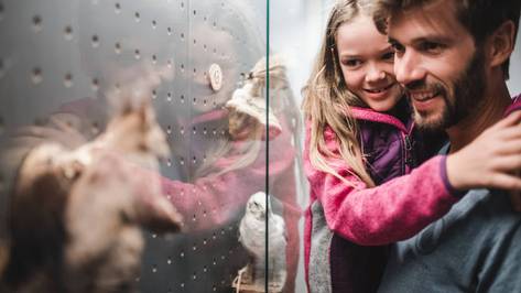 Two tips for adrenaline junkies Two tips for adrenaline junkies