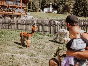 Familienhotel Huber ****ˢ Familienhotel Huber ****ˢ