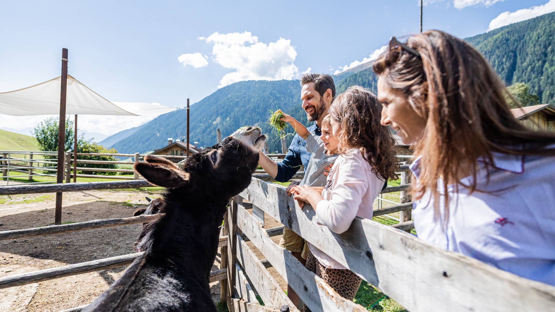 Hotel Fameli ****ˢ Hotel Fameli ****ˢ