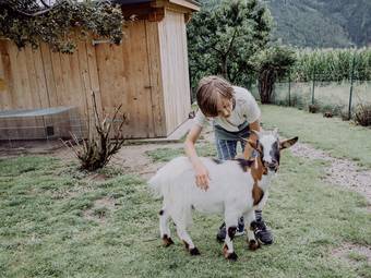 Das Mühlwald Quality Time Family Resort Das Mühlwald Quality Time Family Resort