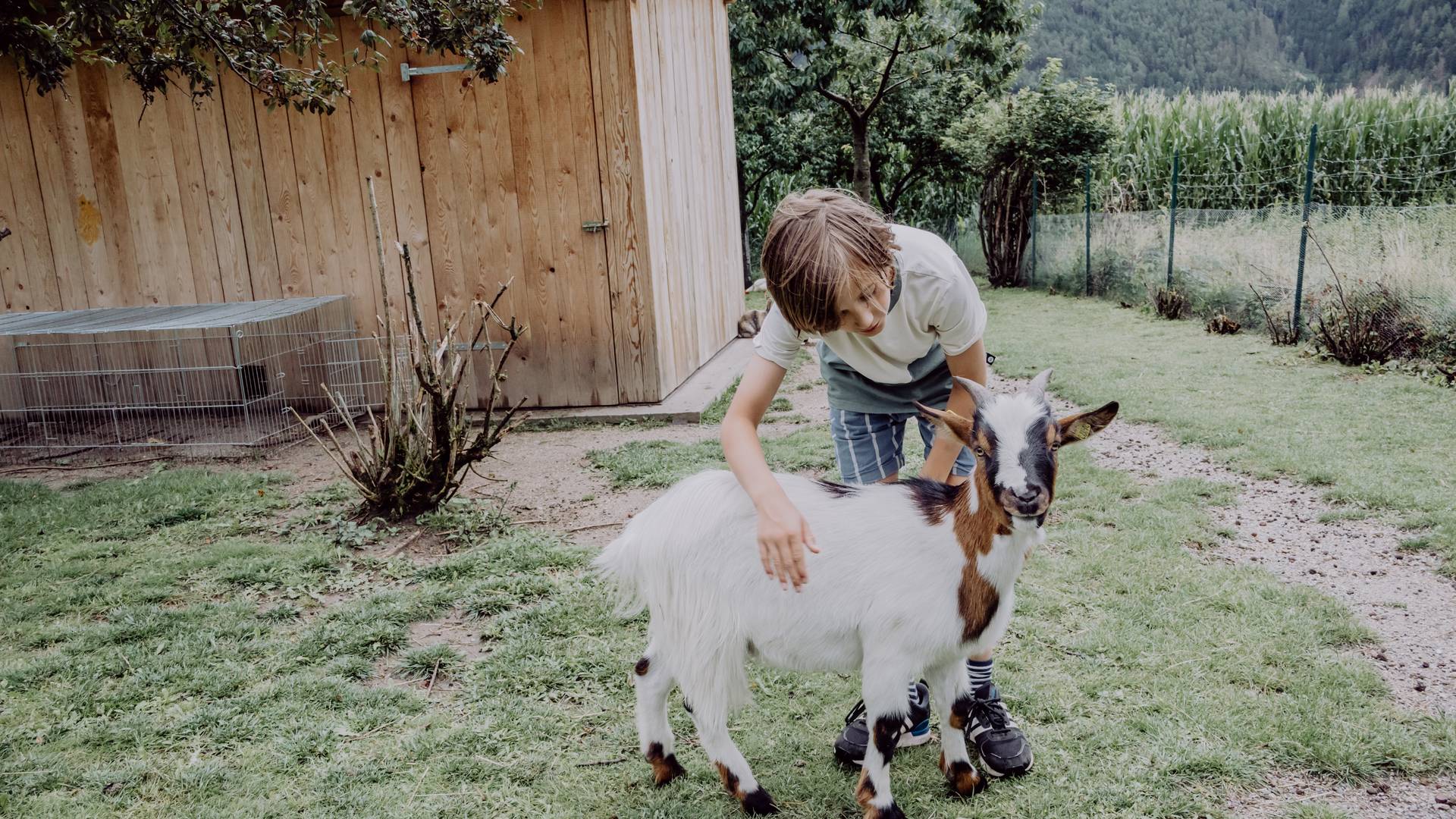 Das Mühlwald Quality Time Family Resort Das Mühlwald Quality Time Family Resort