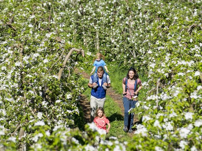 Wandern mit Kindern? Südtirol ist das Ziel. Wandern mit Kindern? Südtirol ist das Ziel.