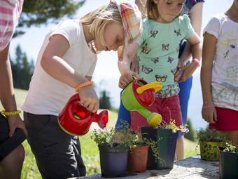 Familienalm & Almchalets Taser Alm**** Familienalm & Almchalets Taser Alm****
