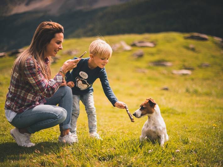 Familienhotel: Mit Hund in den Urlaub Familienhotel: Mit Hund in den Urlaub