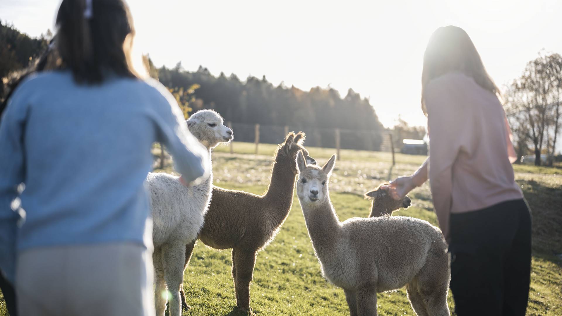 AKI Family Resort PLOSE AKI Family Resort PLOSE