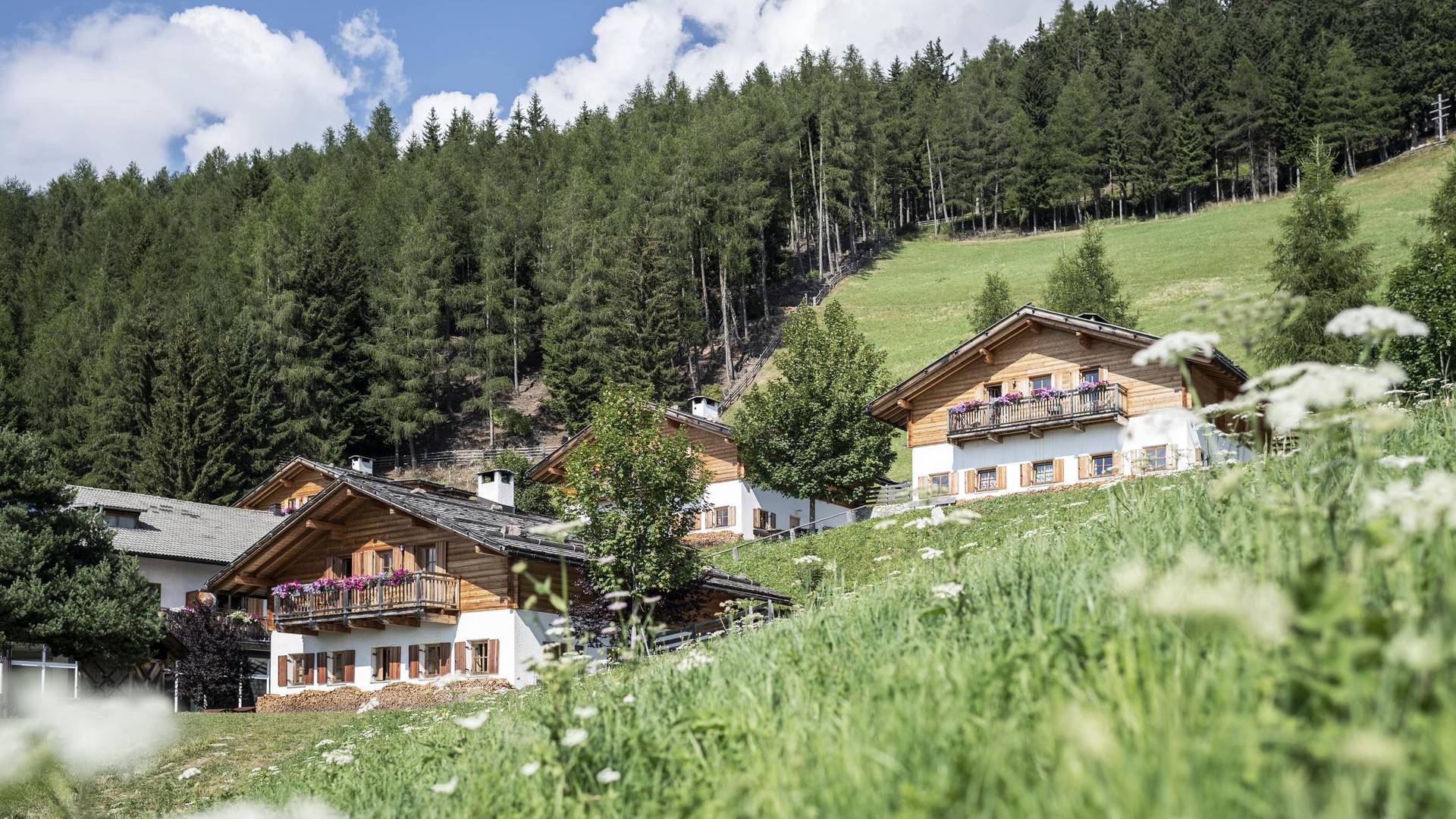 Familienalm & Almchalets Taser Alm**** Familienalm & Almchalets Taser Alm****
